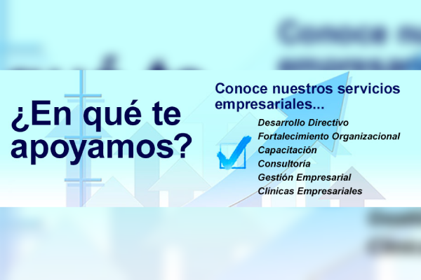 Innovación Organizacional