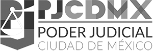 PJCDMX